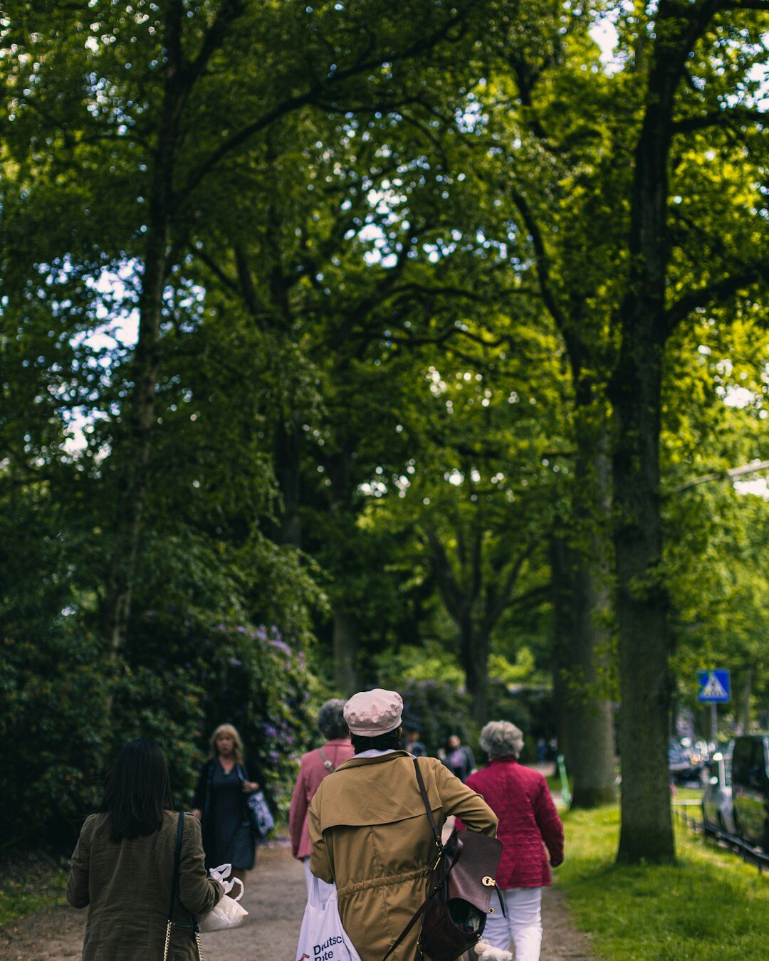 elderly people in park